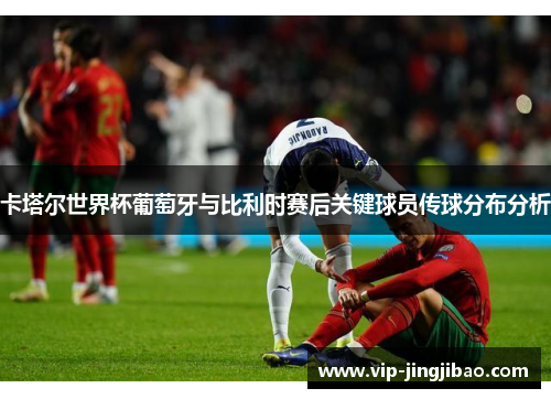 卡塔尔世界杯葡萄牙与比利时赛后关键球员传球分布分析
