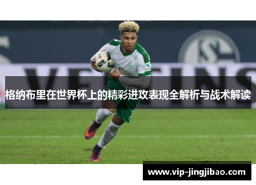 格纳布里在世界杯上的精彩进攻表现全解析与战术解读