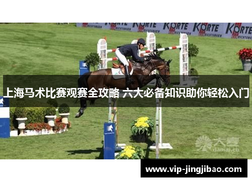 上海马术比赛观赛全攻略 六大必备知识助你轻松入门