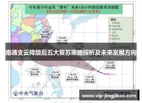 南通支云降级后五大复苏策略探析及未来发展方向